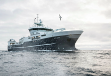 Havet er i krise. Men Havforskningsinstituttet må kutte