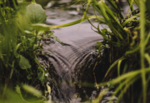 Bane NOR forurenset ørretbekk i Moss – fikk en halv million i bot