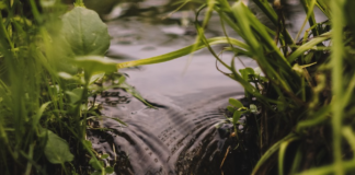 Bane NOR forurenset ørretbekk i Moss – fikk en halv million i bot