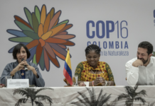 Colombiansk gerilja ber om boikott av FNs naturtoppmøte COP16