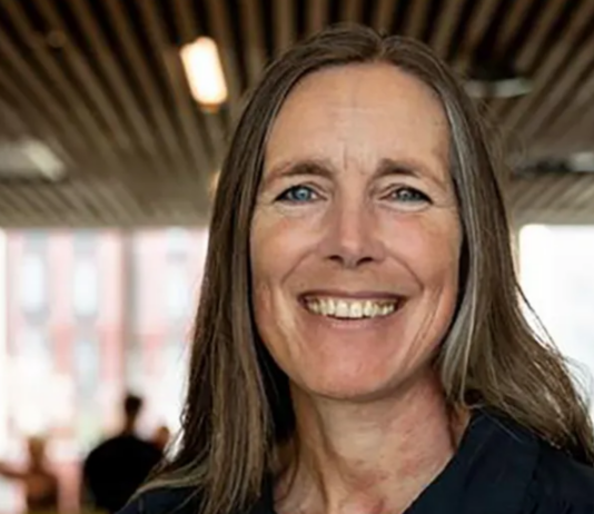Hilde Singsaas blir ny miljødirektør