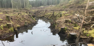 – Jeg føler meg lutfattig for første gang på veldig lenge