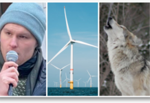 Dette var de 10 mest leste sakene våre i 2024