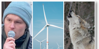 Dette var de 10 mest leste sakene våre i 2024