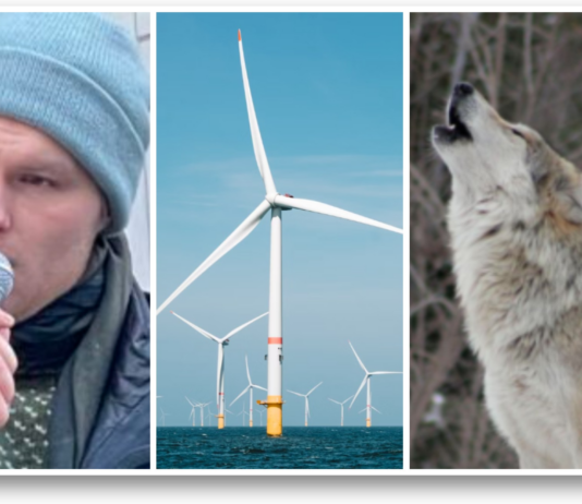 Dette var de 10 mest leste sakene våre i 2024