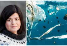 Det ble ingen plastavtale. “Hvor mange flere møter trenger vi?”