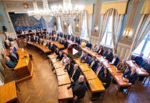 Viken Park vedtatt, men: – Vi fortsetter arbeidet for å redde området