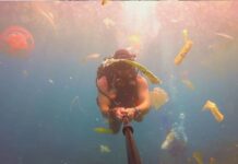 Låt K: Sink or swim / Sløtface