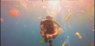 Låt K: Sink or swim / Sløtface