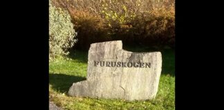 Låt D: Furuskogvisa / Øyvind Brandtzæg