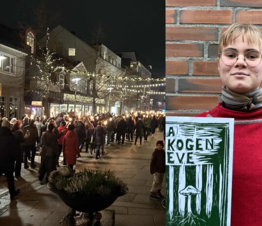 NU-sekretær om Viken Park: – Klage er et naturlig neste steg