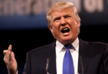 Trump ber britene demontere vindturbiner i Nordsjøen