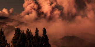 Total ødeleggelse: LA truffet av “den dyreste skogbrannkatastrofen i amerikansk historie”