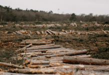 Farvel Senterpartiet – dere vil ikke bli savnet