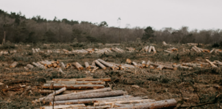 Farvel Senterpartiet – dere vil ikke bli savnet