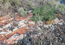 Anmeldt for alvorlig miljøkriminalitet