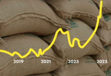 Kaffen kommer til å bli mye dyrere. Noe av grunnen er klimaendringene