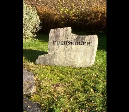 And the winner is … Furuskogvisa!