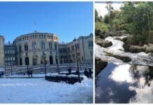 Miljøorganisasjon anbefaler folk å stemme Frp