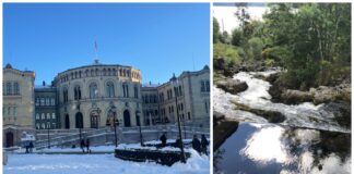 Miljøorganisasjon anbefaler folk å stemme Frp