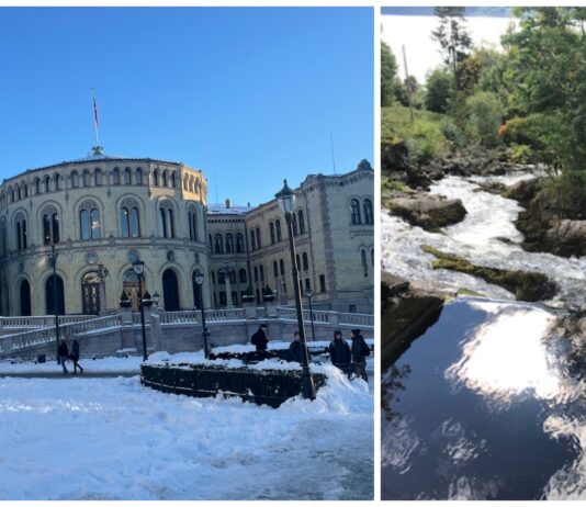 Miljøorganisasjon anbefaler folk å stemme Frp