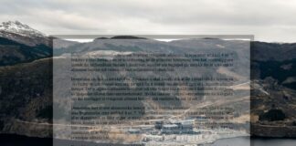 Efta-domstolen: “Økonomiske hensyn ikke en begrunnelse” i Førdefjord-saken