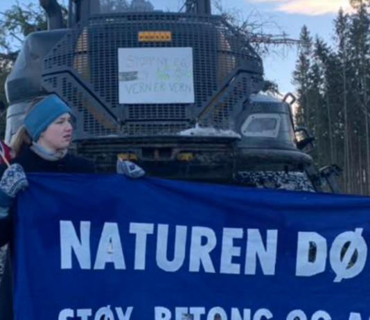 Husokkupanter fjernet med makt i Lillehammer