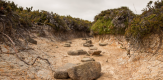 Utelukker ikke 2 graders oppvarming før 2030