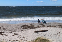 Oslofjorden trenger et pusterom – og hjelp fra fiskerne