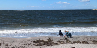 Oslofjorden trenger et pusterom – og hjelp fra fiskerne