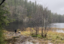 – Hvem eier naturen?