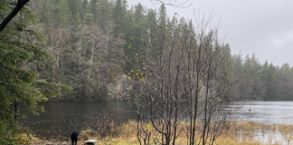 – Hvem eier naturen?