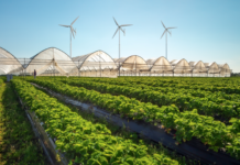 Småskala vindkraft: Den manglende brikken i Norges grønne energiframtid