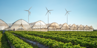 Småskala vindkraft: Den manglende brikken i Norges grønne energiframtid