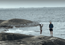 Fiskarlaget frykter rekefisket i Oslofjorden kan ta slutt. Naturvernere etterlyser flere grep