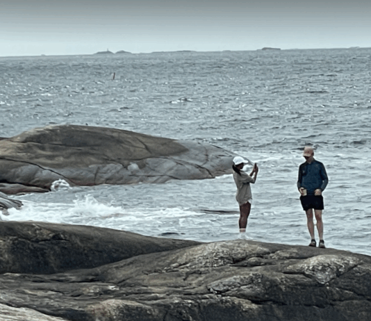 Fiskarlaget frykter rekefisket i Oslofjorden kan ta slutt. Naturvernere etterlyser flere grep
