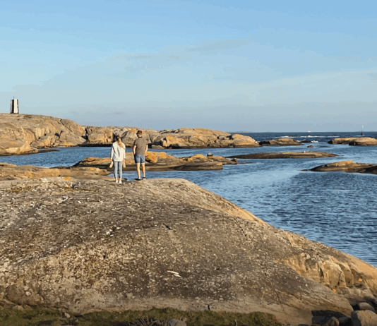 Sommeråpent i Naturpress – men litt fri tar vi