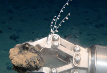 Grupperinger beklager: FN-møte avsluttes uten moratorium for dyphavsgruvedrift