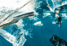 Ingen global plastavtale, 7 land stritter i mot: – Svært skuffet