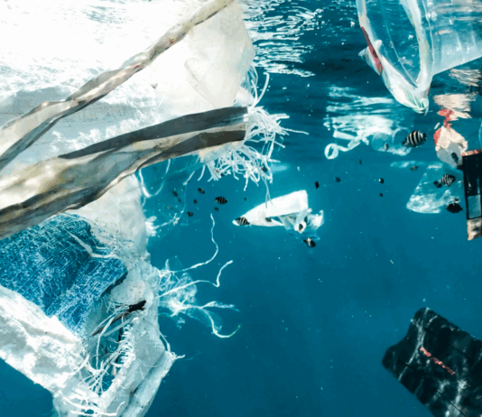 Ingen global plastavtale, 7 land stritter i mot: – Svært skuffet