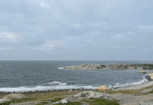 – Fiskeforbud er ikke symbolpolitikk. Det virker