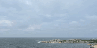 – Fiskeforbud er ikke symbolpolitikk. Det virker