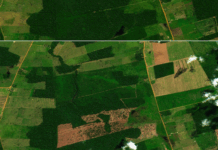 Vippepunkt-advarsel: Brasils regnskog har mistet areal på størrelse med Spania