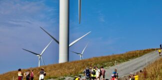 Vil kontrollere lovligheten til flere vindkraftanlegg