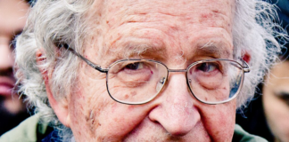 Verdenskjent antikapitalist og klimadebattant pleiet Epstein-kontakt