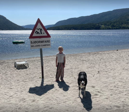 I 2025 var Norge 2,8 grader varmere enn den historiske normalen