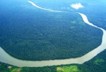 Norge og Brasil skal leie nytt regnskogsfond. Modell: Oljefondet