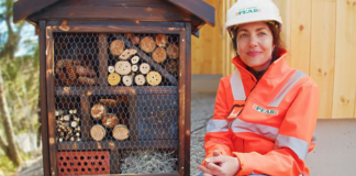 PEAB og Kirkens Bymisjon samarbeider: Gir husly til insekter (video)