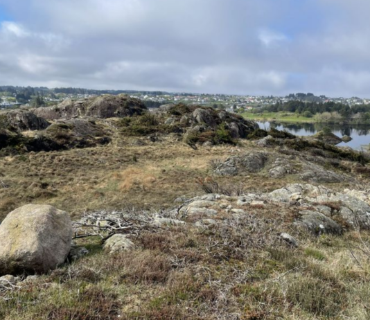 Vil “trylle bort” CO2 i norske bergarter