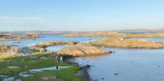 Riksrevisjonen refser arealforvaltningen: Vi vet fortsatt ikke hvilken natur vi ødelegger